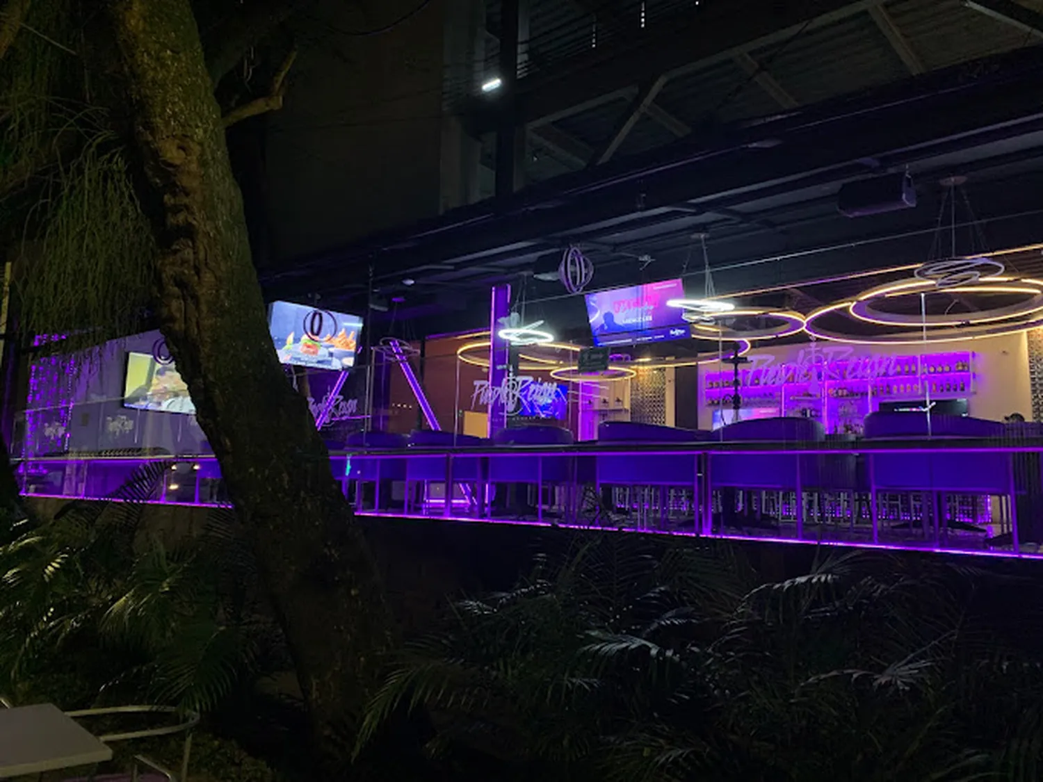 Purple Reign Restaurant Medellin