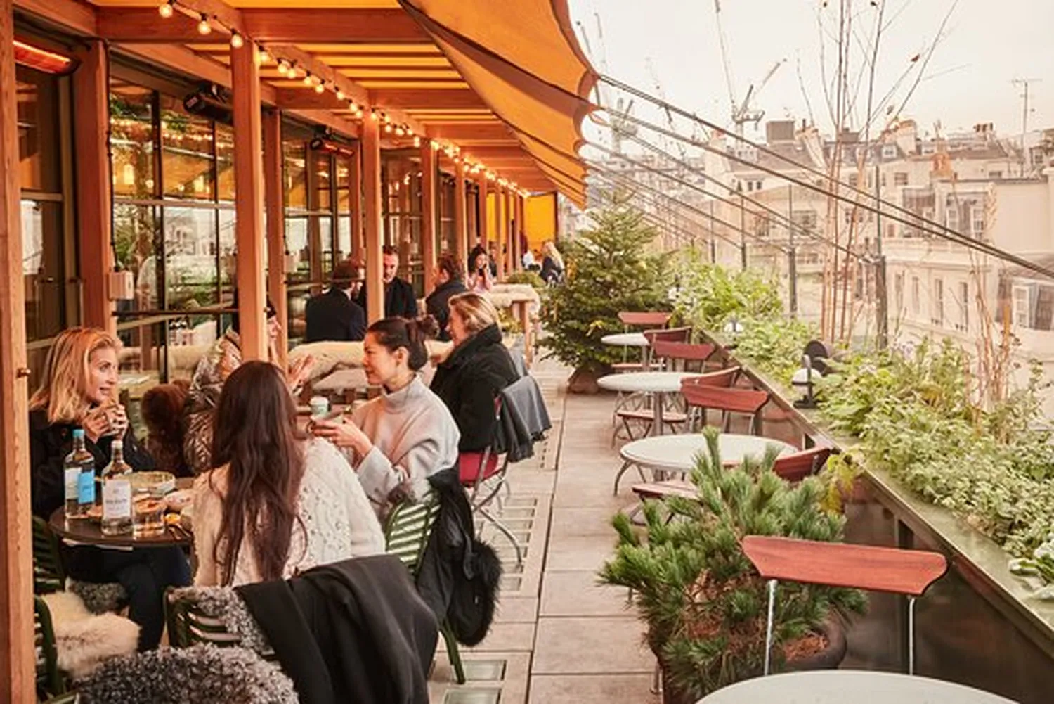 Roof Garden at Pantechnicon