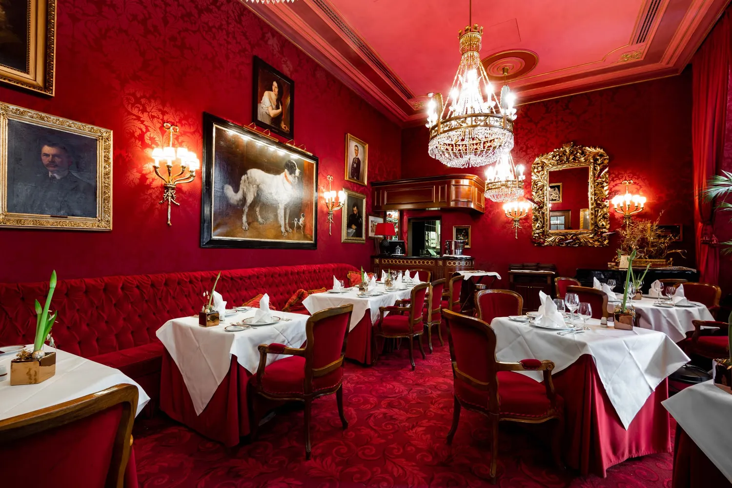 Rote restaurant Vienna