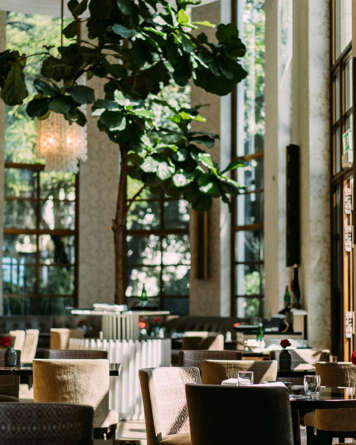 Sophia's restaurant Munich