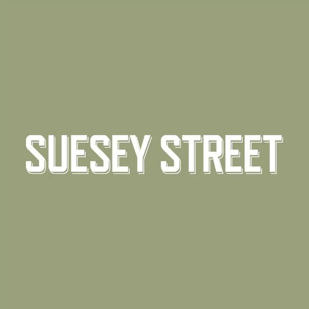 Suesey Street restaurant Dublin