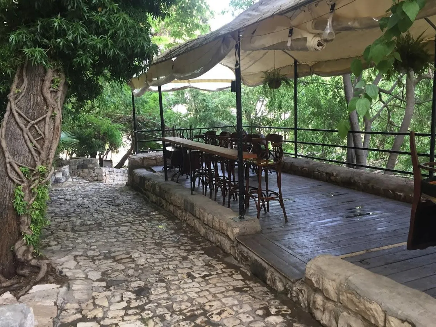 Tangerine Restaurant Safed