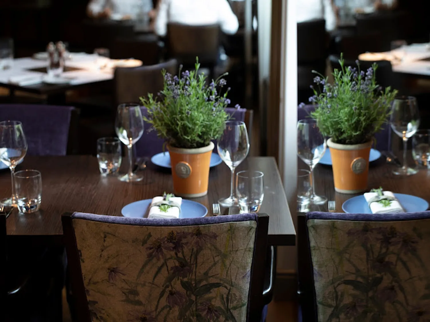 The Montagu restaurant London