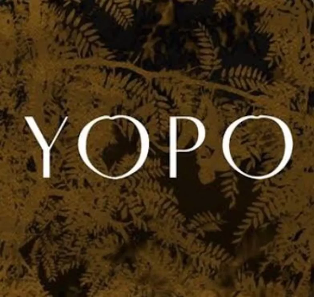 Yopo restaurant London