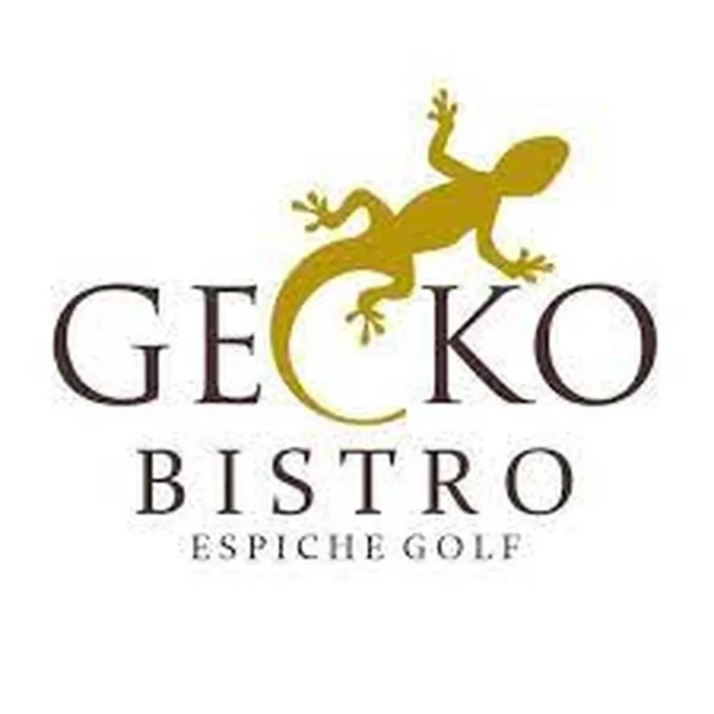 Gecko restaurant Lagos