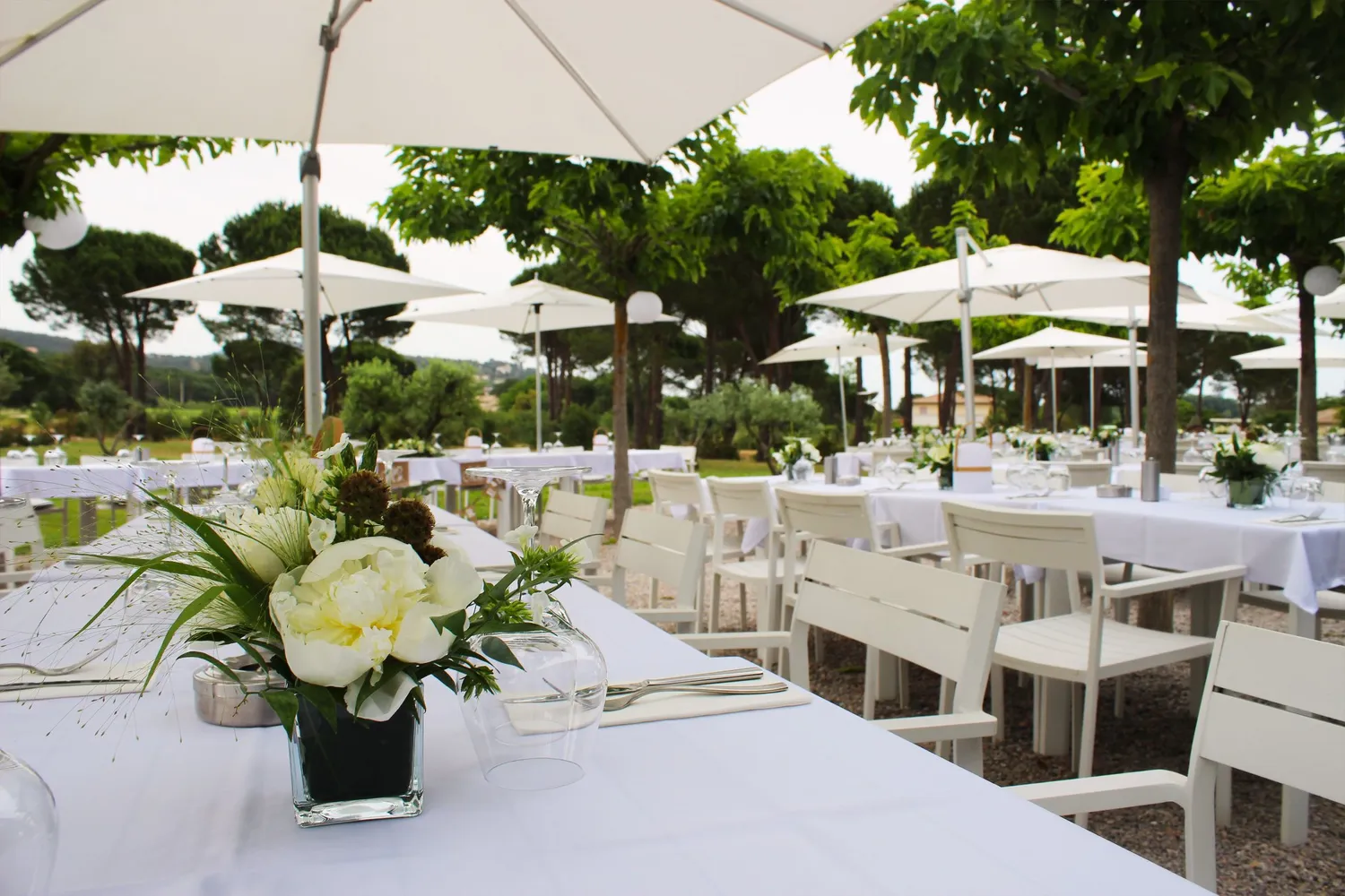 La Table des Oliviers restaurant Grimaud