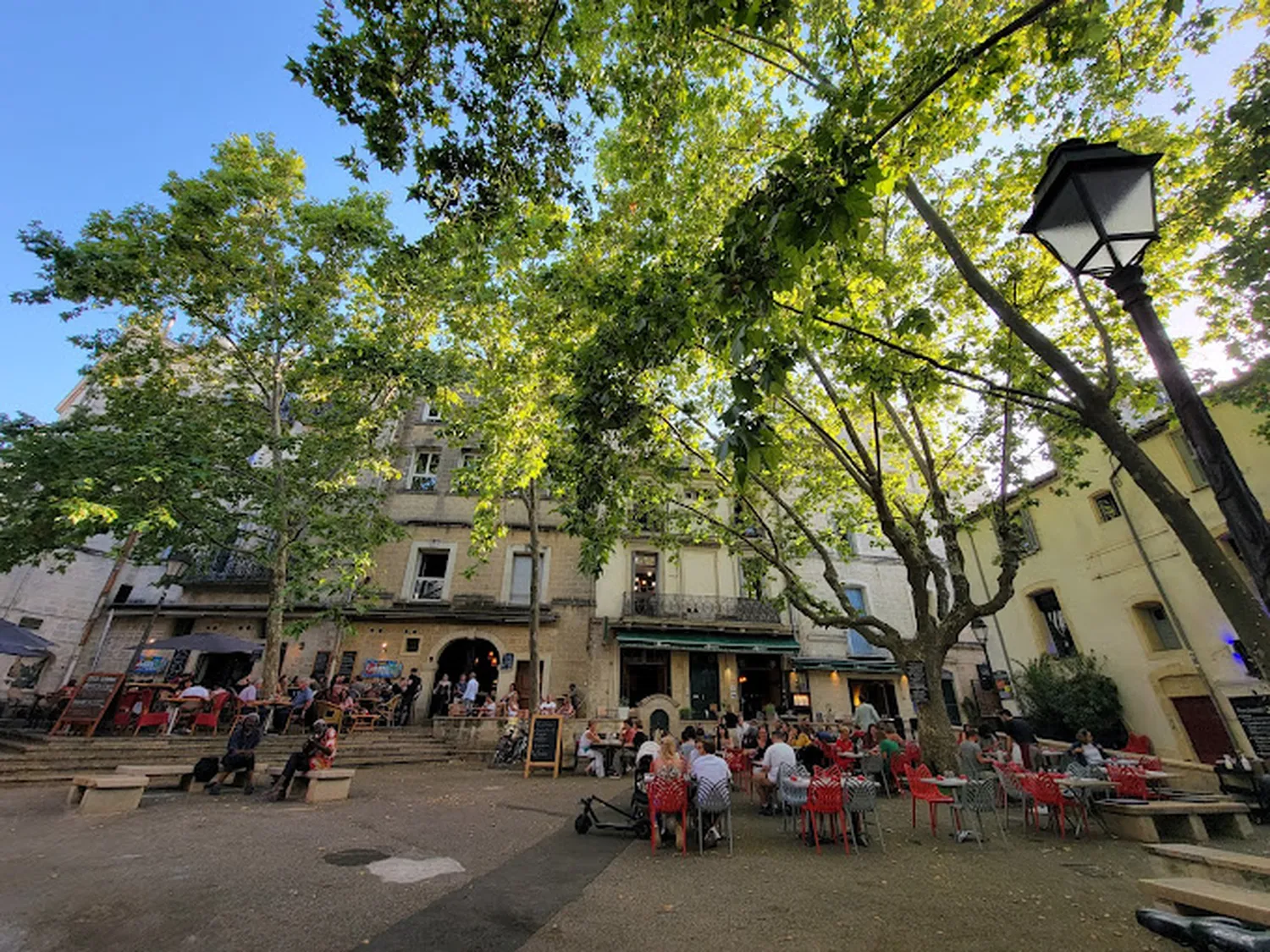 Le Grillardin Restaurant Montpellier