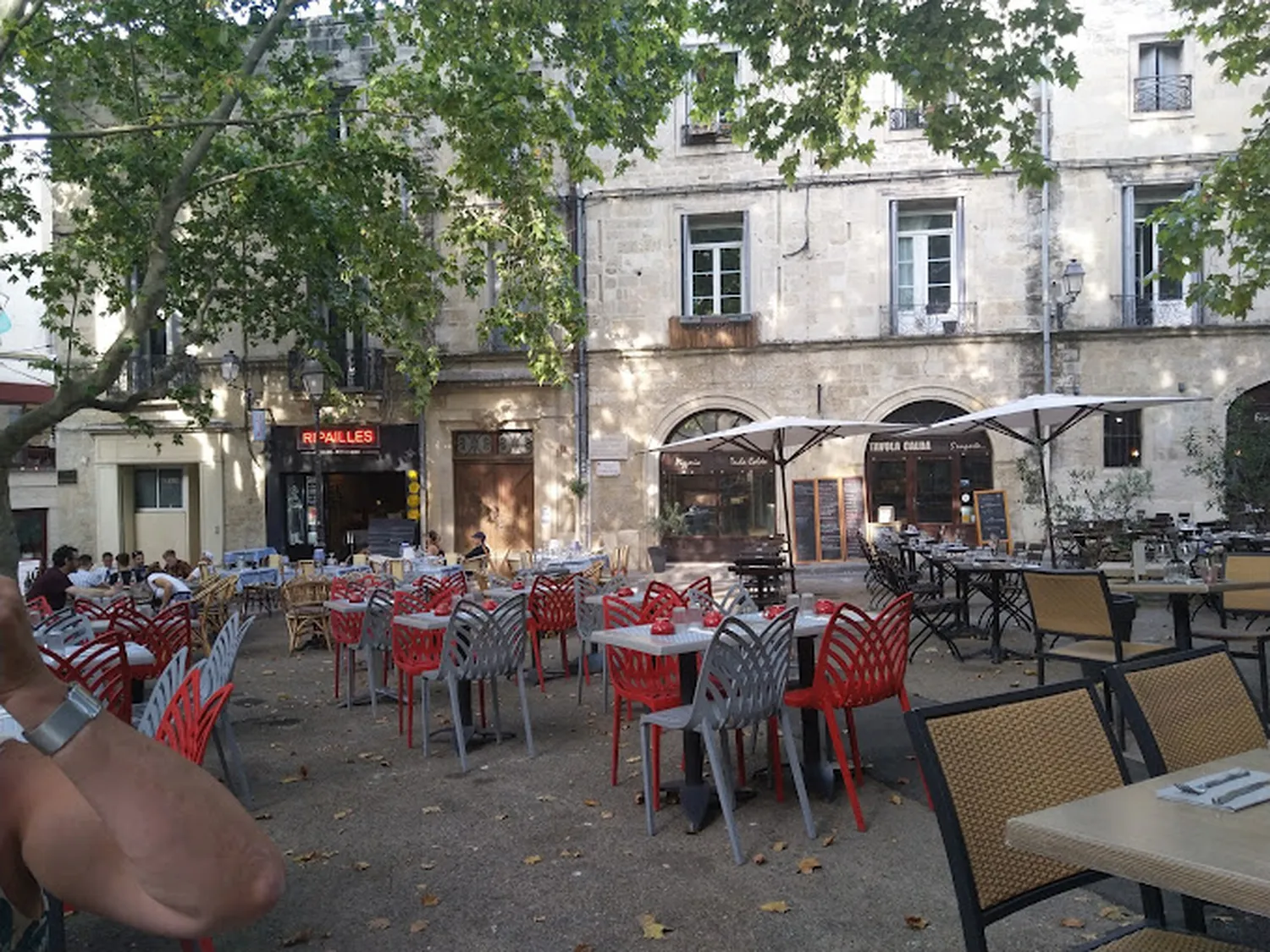 Le Grillardin Restaurant Montpellier