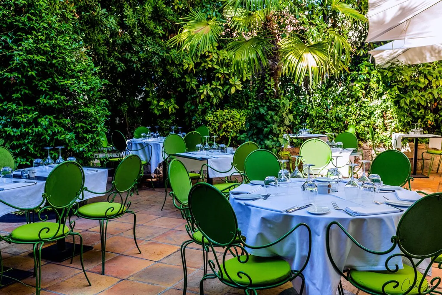 Le Petit Jardin Restaurant Montpellier