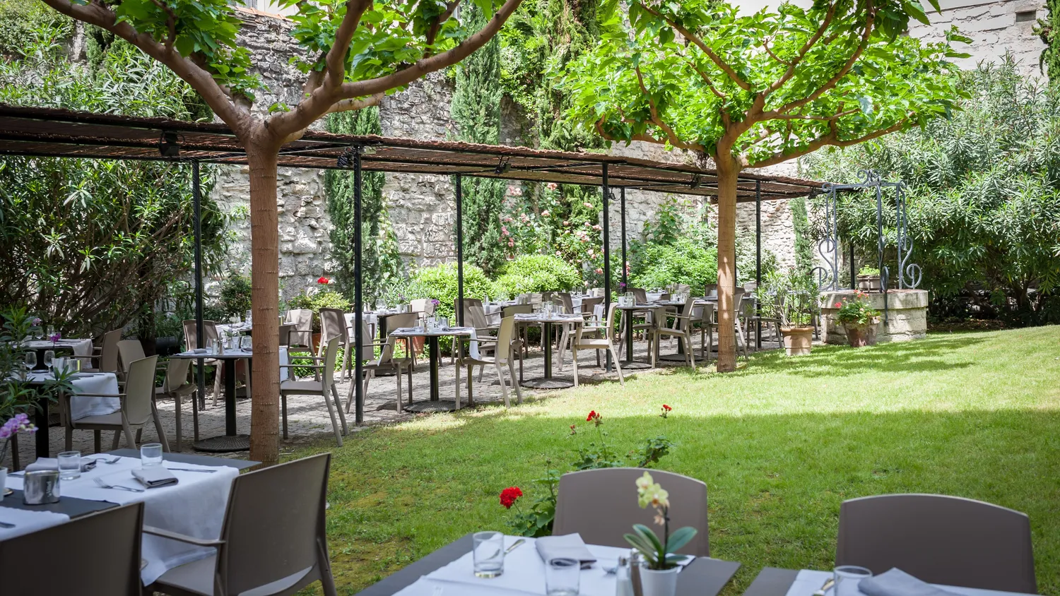 Le saint louis Restaurant Avignon