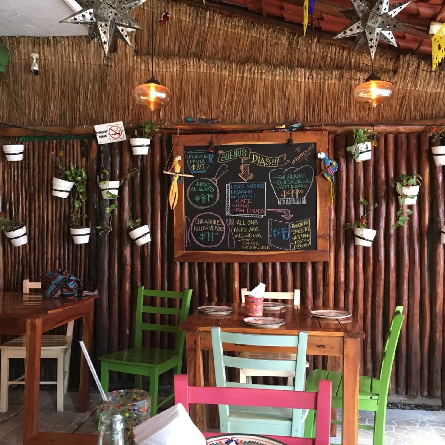 Pik Nik Restaurant Playa Del Carmen