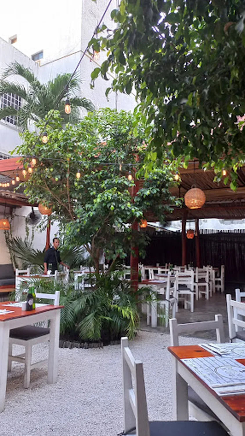 Trattoria Del Centro Playa Del Carmen