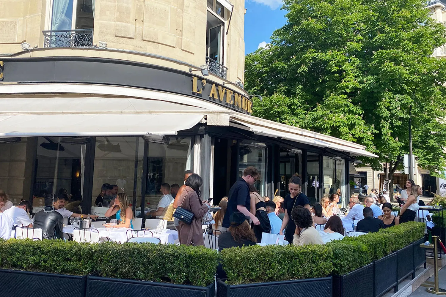 L'Avenue restaurant Paris