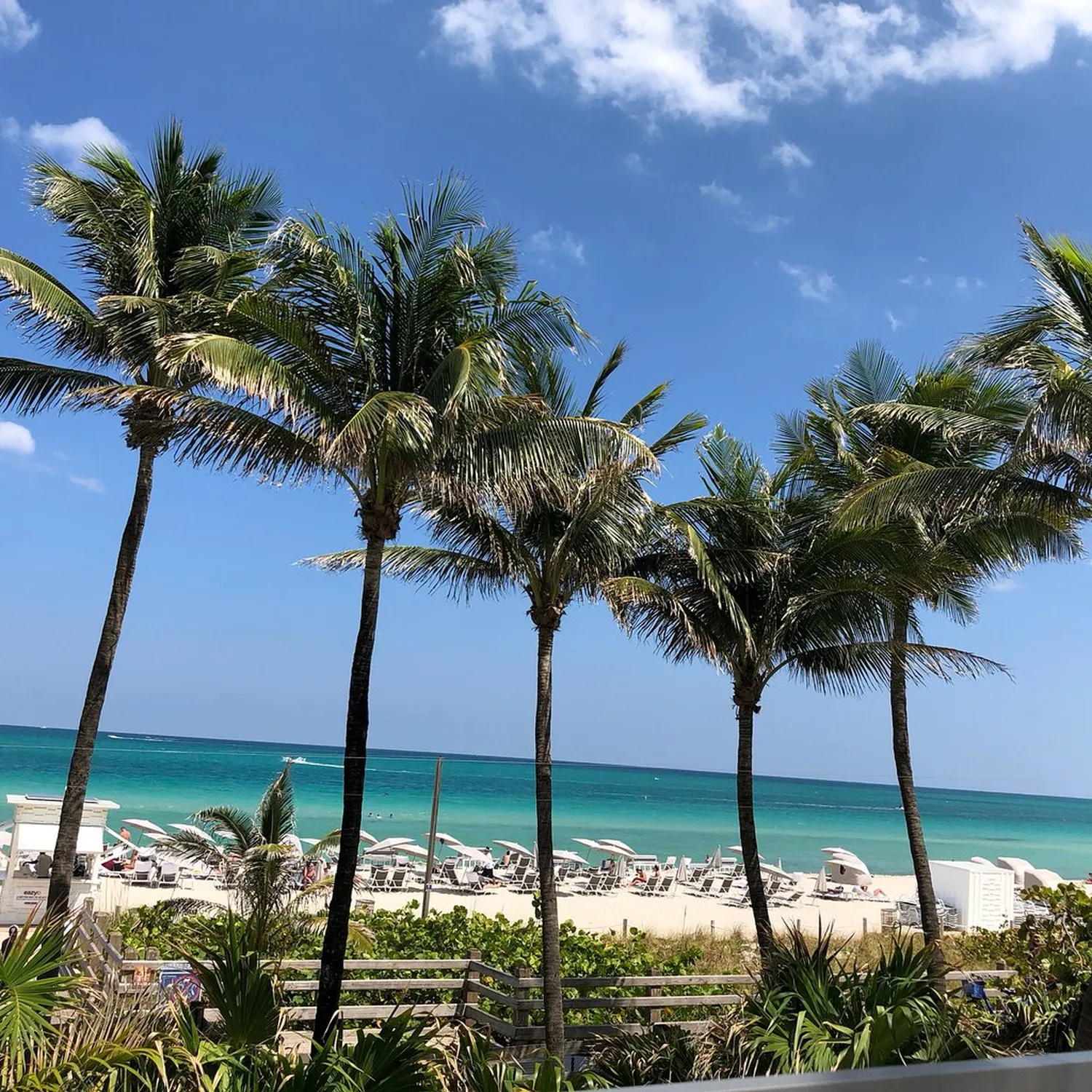 La Côte rooftop Miami Beach