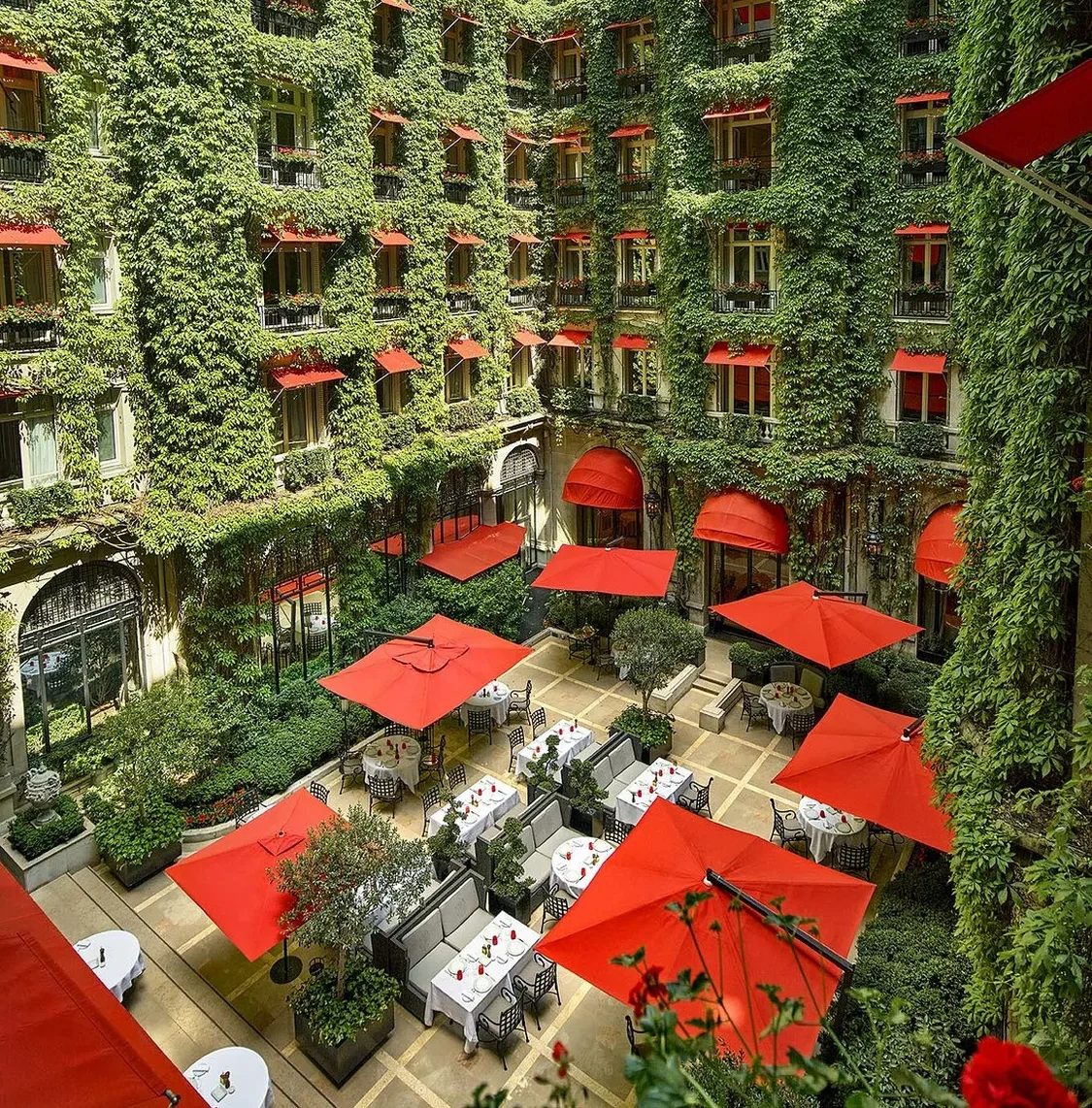 La Cour Jardin restaurant Paris