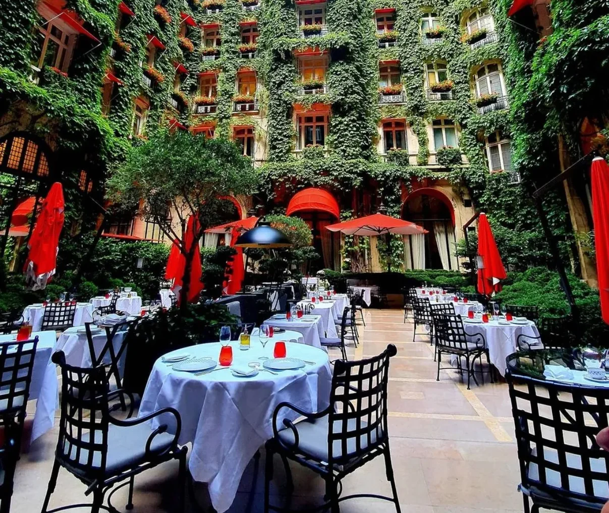 La Cour Jardin restaurant Paris