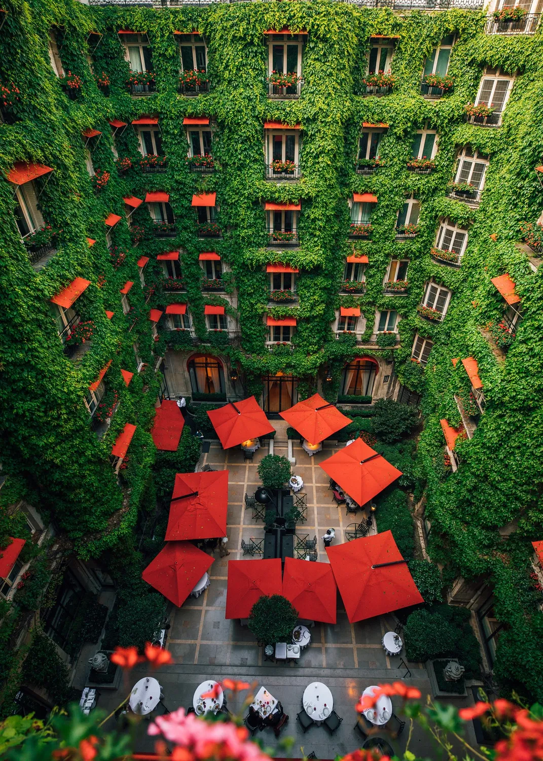 La Cour Jardin restaurant Paris