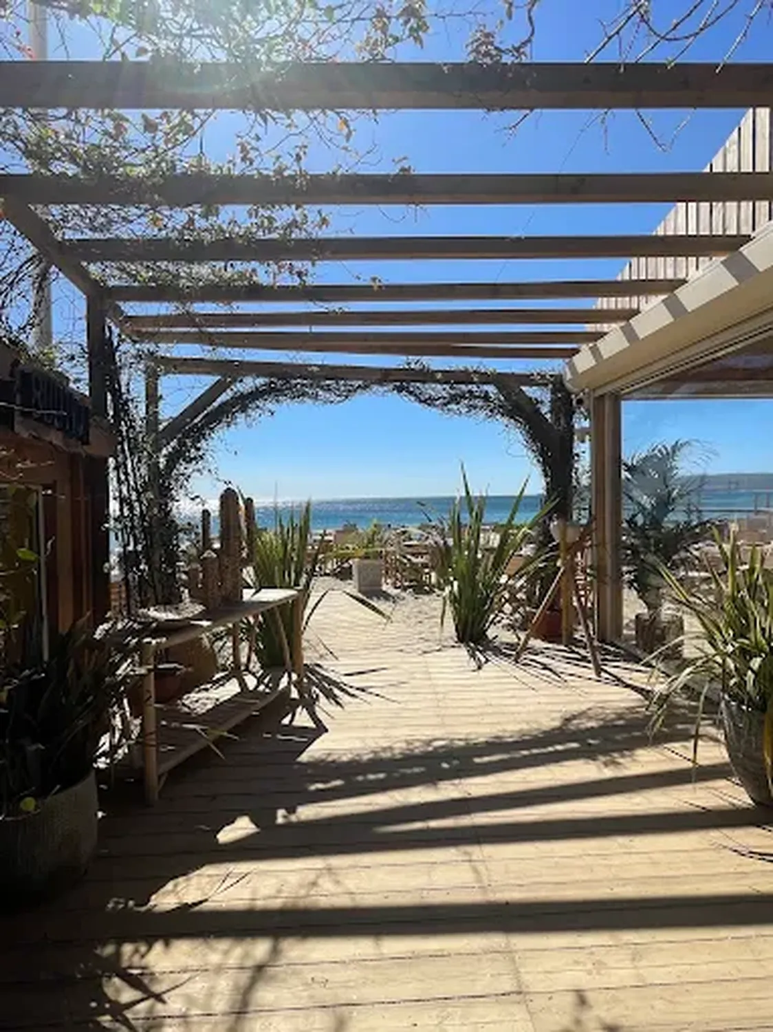 Bar du Soleil restaurant Saint Tropez
