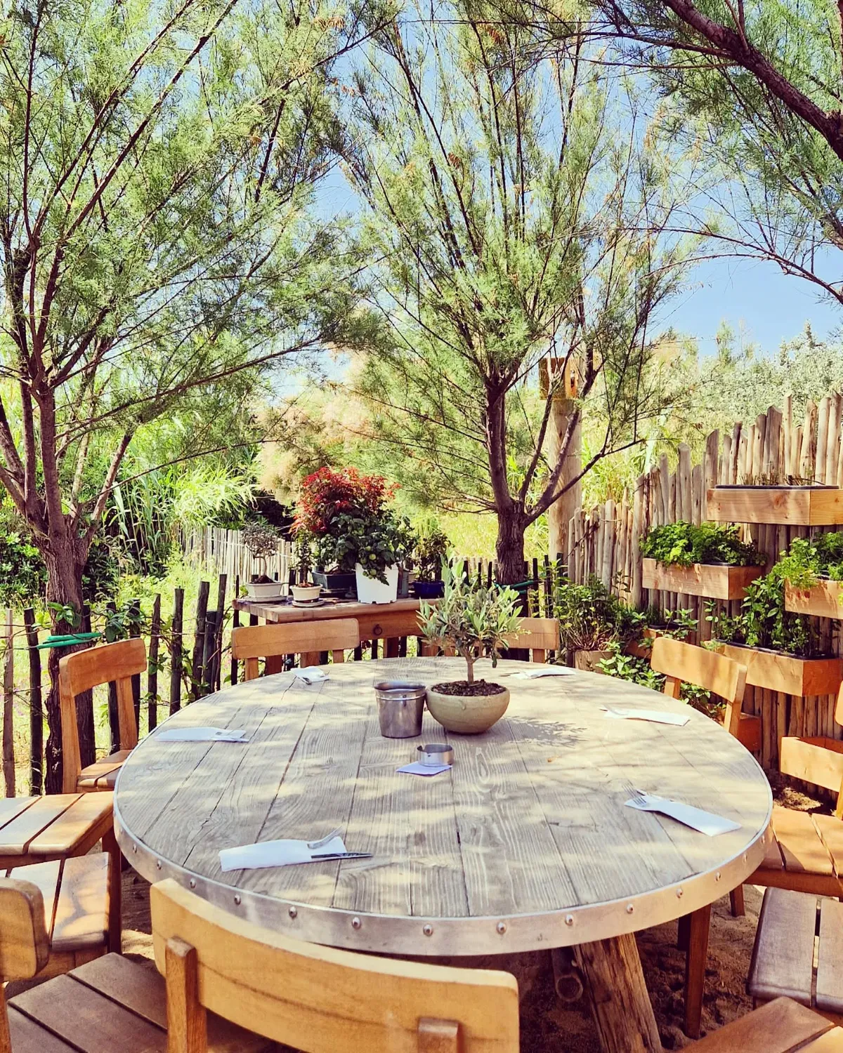 Tono Pampelonne restaurant Saint Tropez