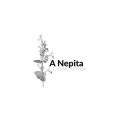 A NEPITA Restaurant Ajaccio