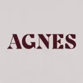 Agnes restaurant Brisbane