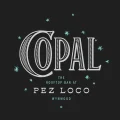 Copal rooftop bar Miami