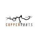 Copper Roots restaurant Lyon